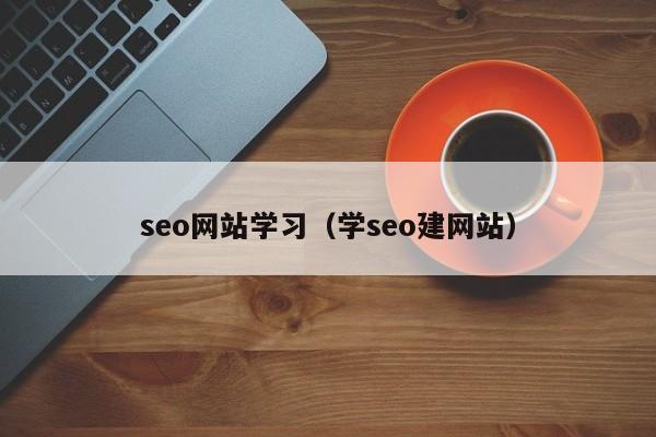 seo网站学习(学seo建网站)